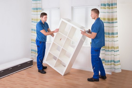 Professional man and van team handling a local removal